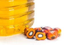 Lo que debes saber sobre el aceite de palma