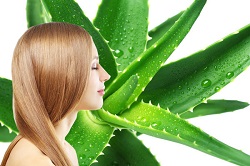 Beneficios del aloe vera para el pelo