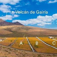 6 Factores que determinan un aloe vera de calidad